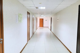 Офисное помещение 974 м², Пушкинская