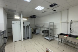 Нежилое помещение 55 м² под кафе, маг...