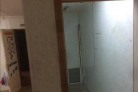 Миниатюра 3