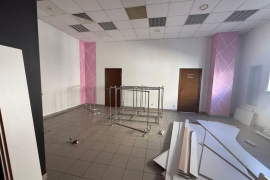 Помещение 100-500 м² в ТЦ Самолет
