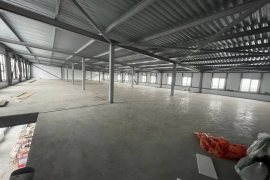 Здание Торговое Офис 1000 м²