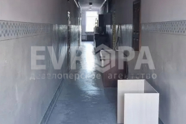 Миниатюра 2