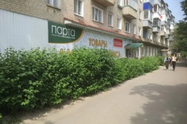 Торговая площадь, 17 м²
