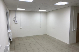 Помещение СН 46 м²