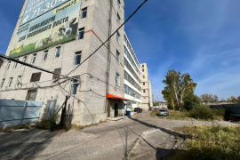 Здание 13599 м²  80 сот