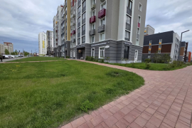 Миниатюра 3