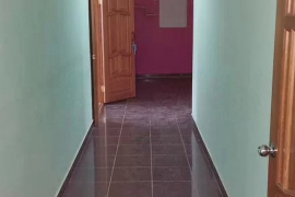 Помещение  Офис Торговое 317 м2