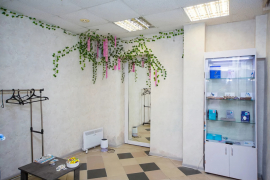 Помещение Склад 270 м²
