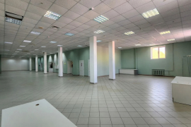 Миниатюра 4