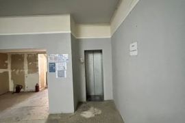 Здание 13599 м²  80 сот