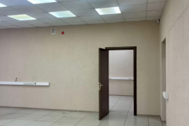 Миниатюра 3
