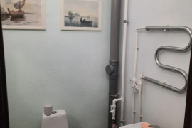 Миниатюра 4